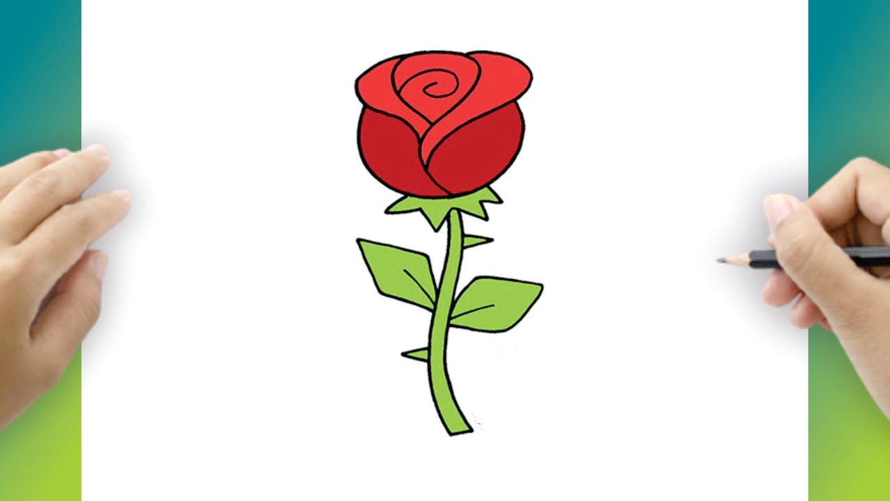 Come Disegnare una Rosa Passo Passo, Facile per Principianti - YouTube