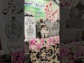 #tahirbilalchishti #youtubeshorts #youtube #tiktok #jui #DMCjuipakistan #maulana #namaltv