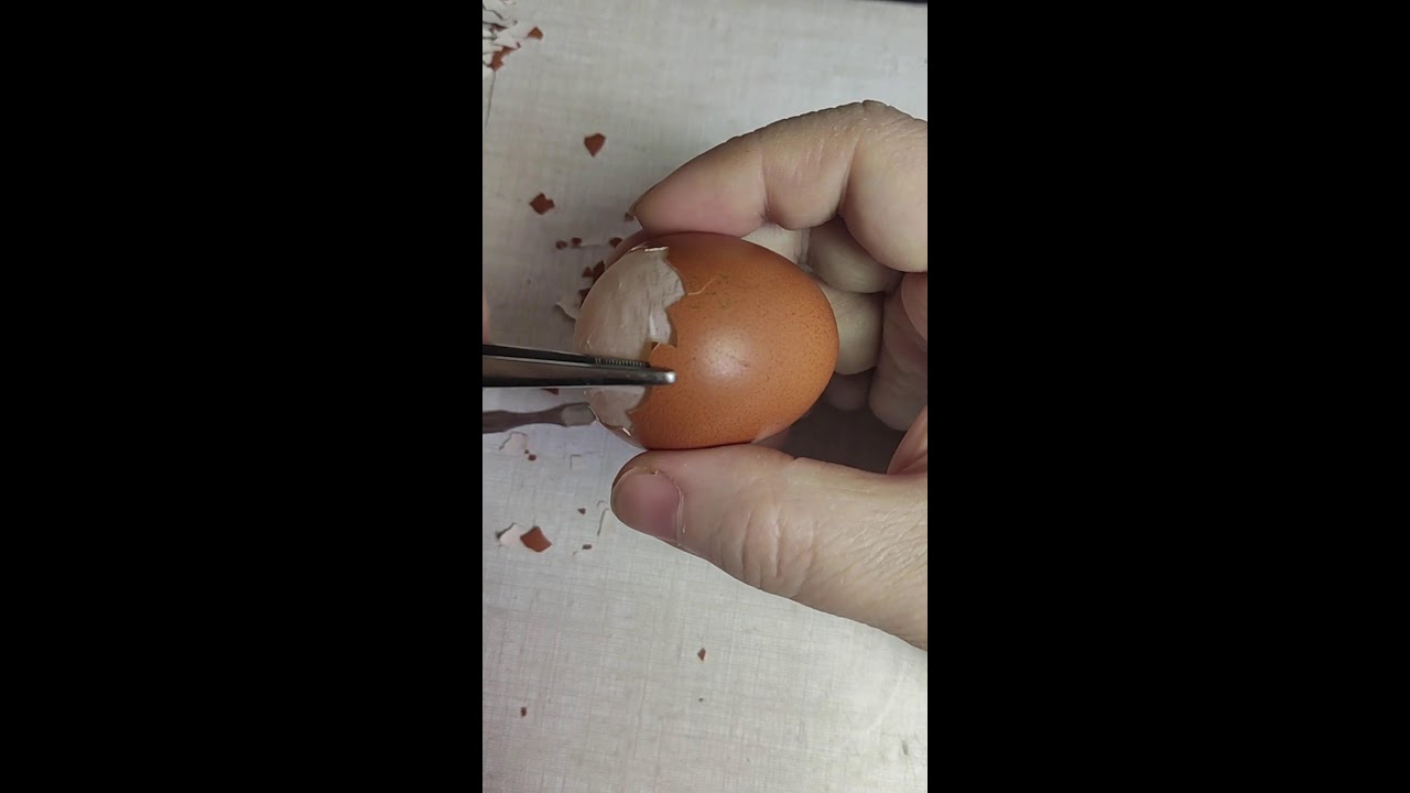 Моя трансляция