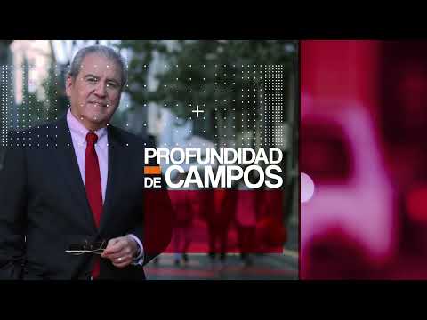 Profundidad de Campos - Senador Ricardo Lagos Weber