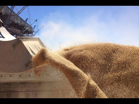 MIAC #50 Global Cooling, Rising Food Prices & the Blockchain (610)