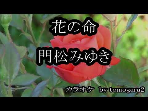 花の命 門松みゆき カラオケ Youtube