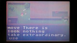Atari Lynx homebrew game - unnamed (beta)