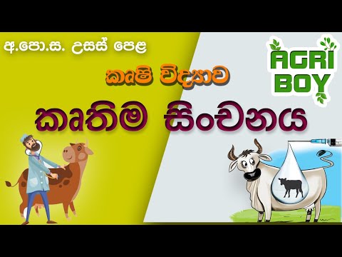 A/L Agriculture | කෘතිම සිංචනය | Artificial Insemination