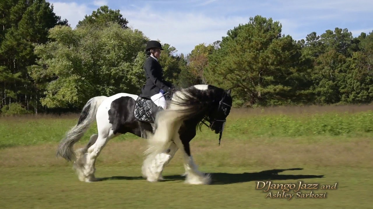 Gypsy Vanner Stallion #150305 ~ Pferd Replik USA W Safari 