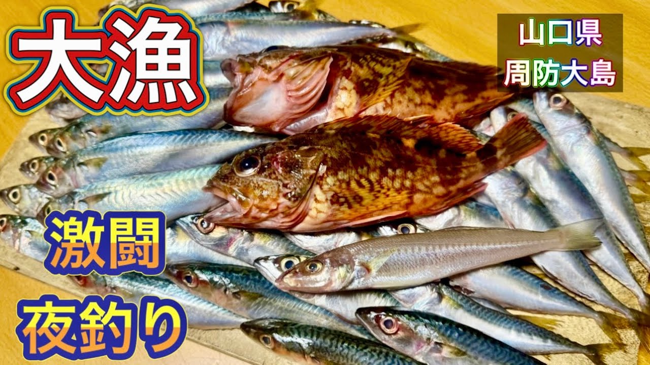 Yamaguchi Expedition Part 2] Catch a big fish with 24-hour night