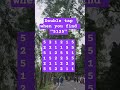 Observation Visual Test: 5 Seconds For You To Spot:5125 . Try Your Skills!  #search #puzzle #shorts