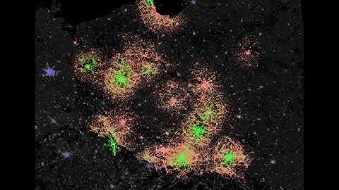 Influenza epidemic spread in Poland.