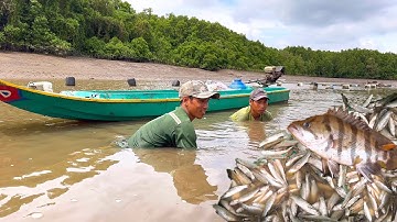 Chấn Động Dưới Con Rạch Không Ngờ Tôm Cá Nhiều Kinh Khủng 