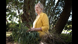 Meet Aunty Doreen, Wurundjeri Elder