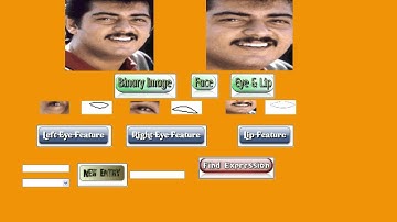 Facial Expression Recognition Using Facial Movement Features