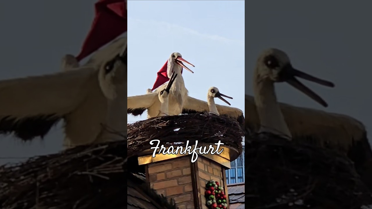 Last Day in Frankfurt #foodtourism #germany #frankfurt