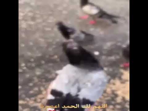 اللهم اعتق رقابنا ورقاب آبائنا وأمهاتنا وأزواجنا وذرياتنا ومشايخنا ومن له حق علينا 