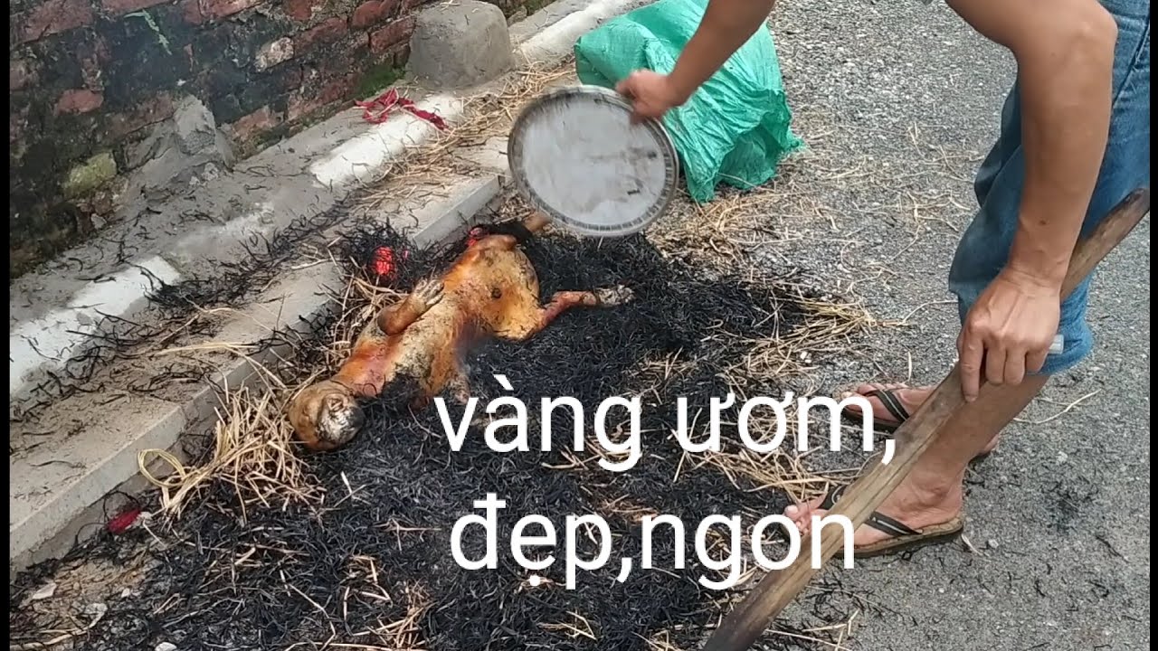 Cách thui chó bằng rơm nhanh, đẹp,ngon - YouTube