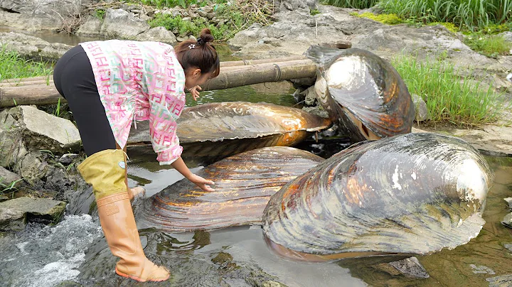 👑😱The girl discovered a giant clam by the river, and the crystal contained magical power! - DayDayNews