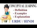 Conceptual Learning: Types & Theory Explained π