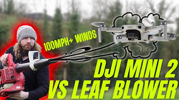 DJI Mini 2 VS LEAF BLOWER // WILL THE LEAF BLOWER BEAT THE MINI 2?