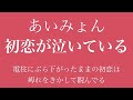 【フル 歌詞】ドラマ『恋なんて、本気でやってどうするの？』（主題歌）初恋が泣いている／あいみょん song by AYK