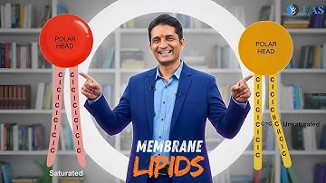 Membrane Lipids - Cell Biology - CSIR NET  Dec 2025 | Emotion Batch Season 6.0 | Lecture 03 | IFAS