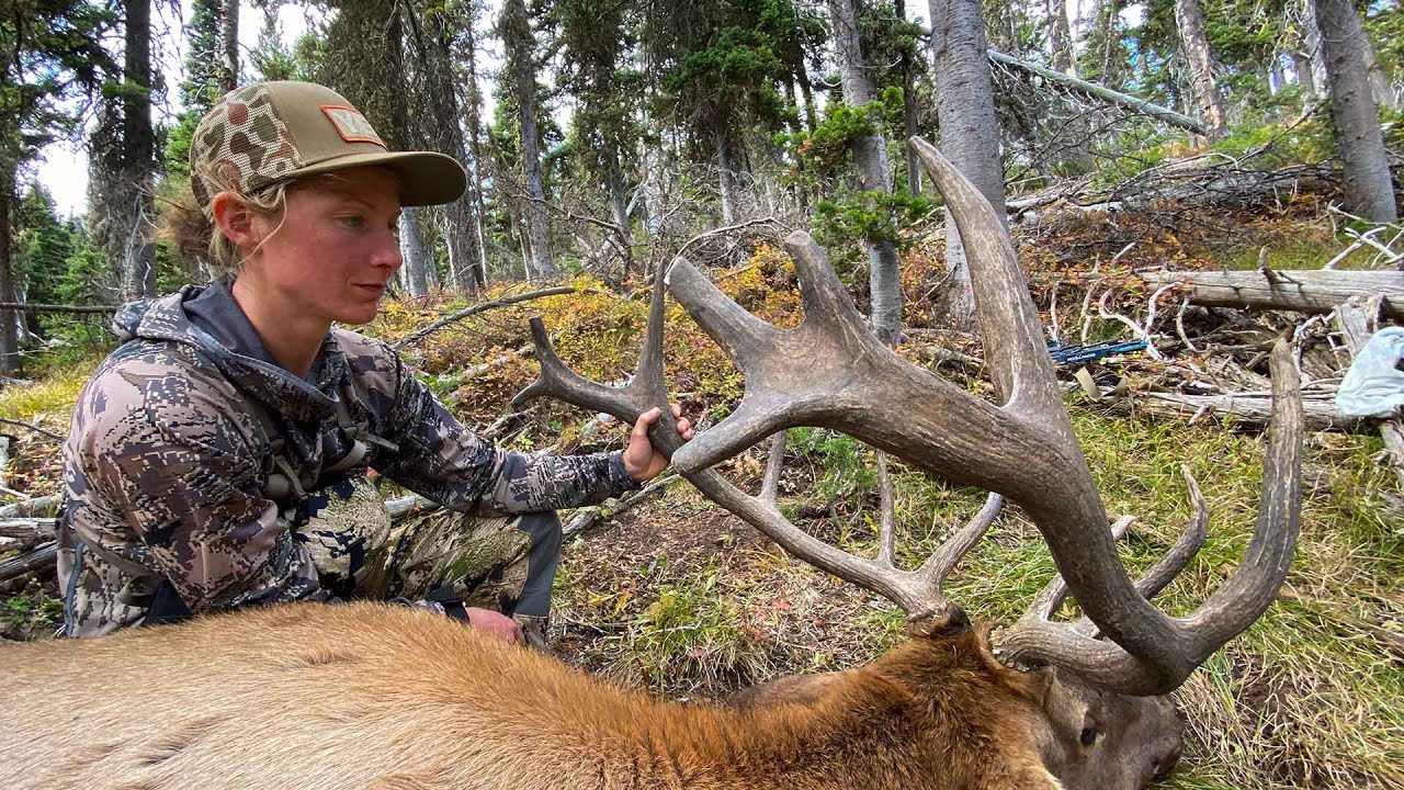 From VEGAN to HUNTER! Fresh Tracks Season 10 (ARCHERY ELK) YouTube