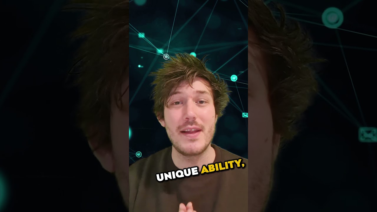 SHA CAPITAL