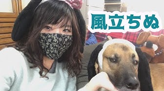 風立ちぬ Youtube