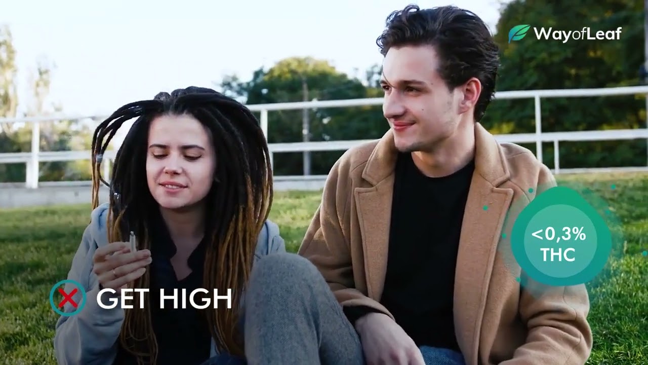 What is CBD Flower