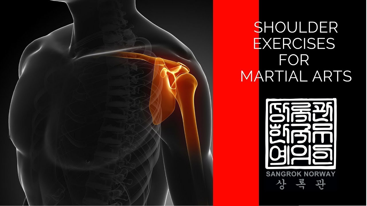 Shoulder Conditioning for Martial Art YouTube