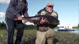 Russia Fishing trips. Siberia fishing on Severnaya River