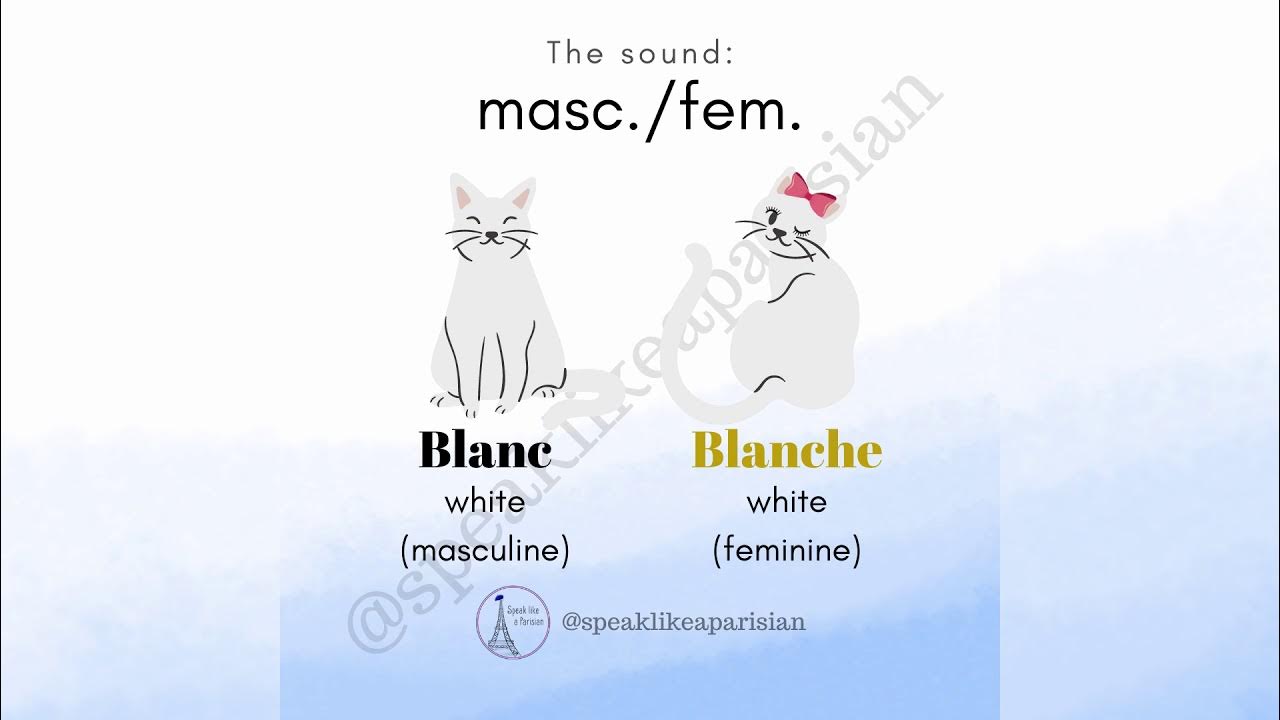"Blanc" (White) in French is not pronounced "Blank" YouTube