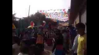 fiesta de san antonio abad 17 de enero 2014 en ahuacuotzingo, guerrero.