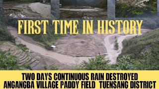 First time in history||Two days continuous rain destroys Angangba village paddy field||TUENSANG