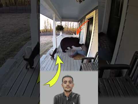 حين يحميك الله يجعل أصغر مخلوق جدار ا أمام أعظم خطر  