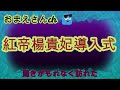 紅帝楊貴妃めだか稚魚12匹導入しまーす