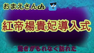 紅帝楊貴妃めだか稚魚12匹導入しまーす