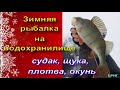 Зимняя рыбалка на водохранилище . Судак, щука, плотва, окунь .