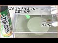 蟻戦争Ⅲ#130 「ゴキブリ除けスプレー」で書いた円の中にゴキブリを解き放ったら驚きの結果になった。 編~Spray to keep cockroaches away.~