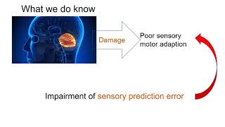 Cerebellum Does More Than Sensory Prediction Error Based Learning in Sensory-motor Adaption Tasks