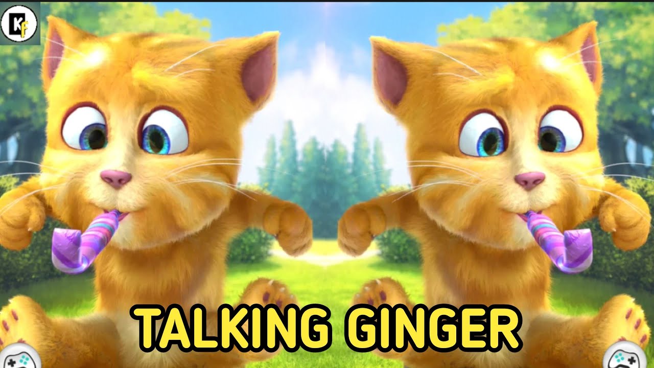 Ginger Stream Talking Ginger Live Streaming - YouTube