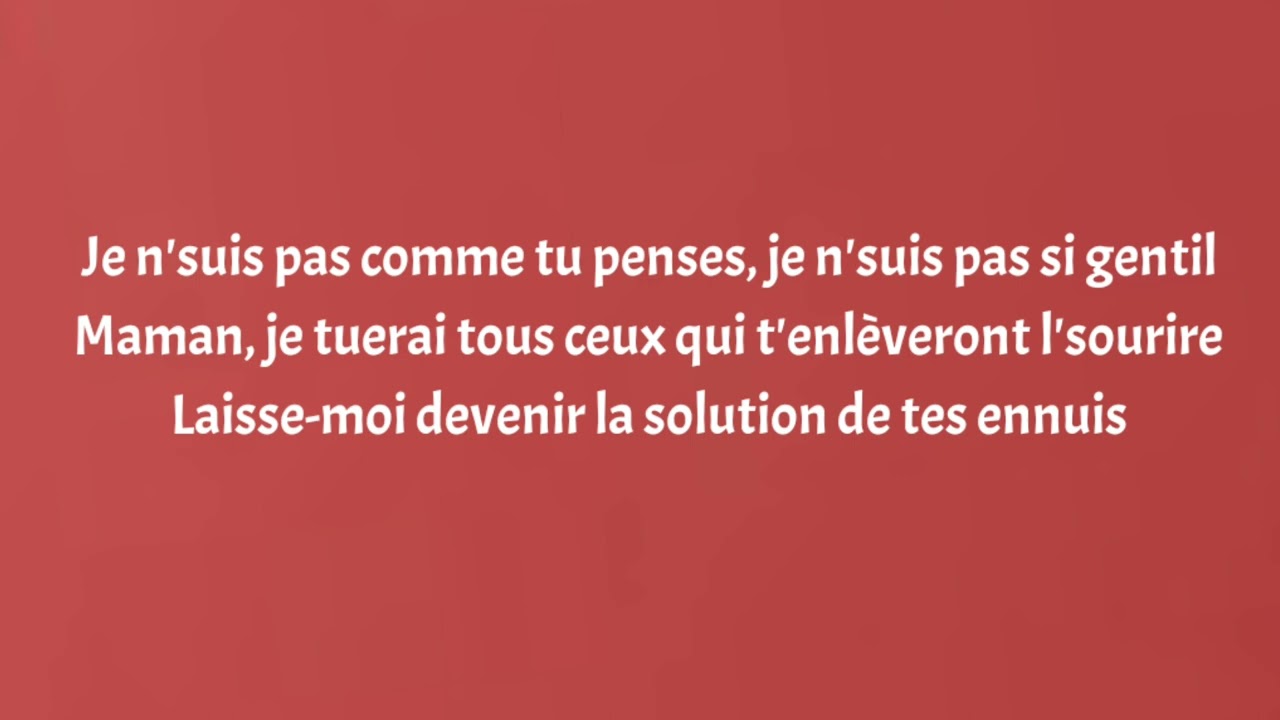 Karaoke Pour toi - The Shin Sekaï