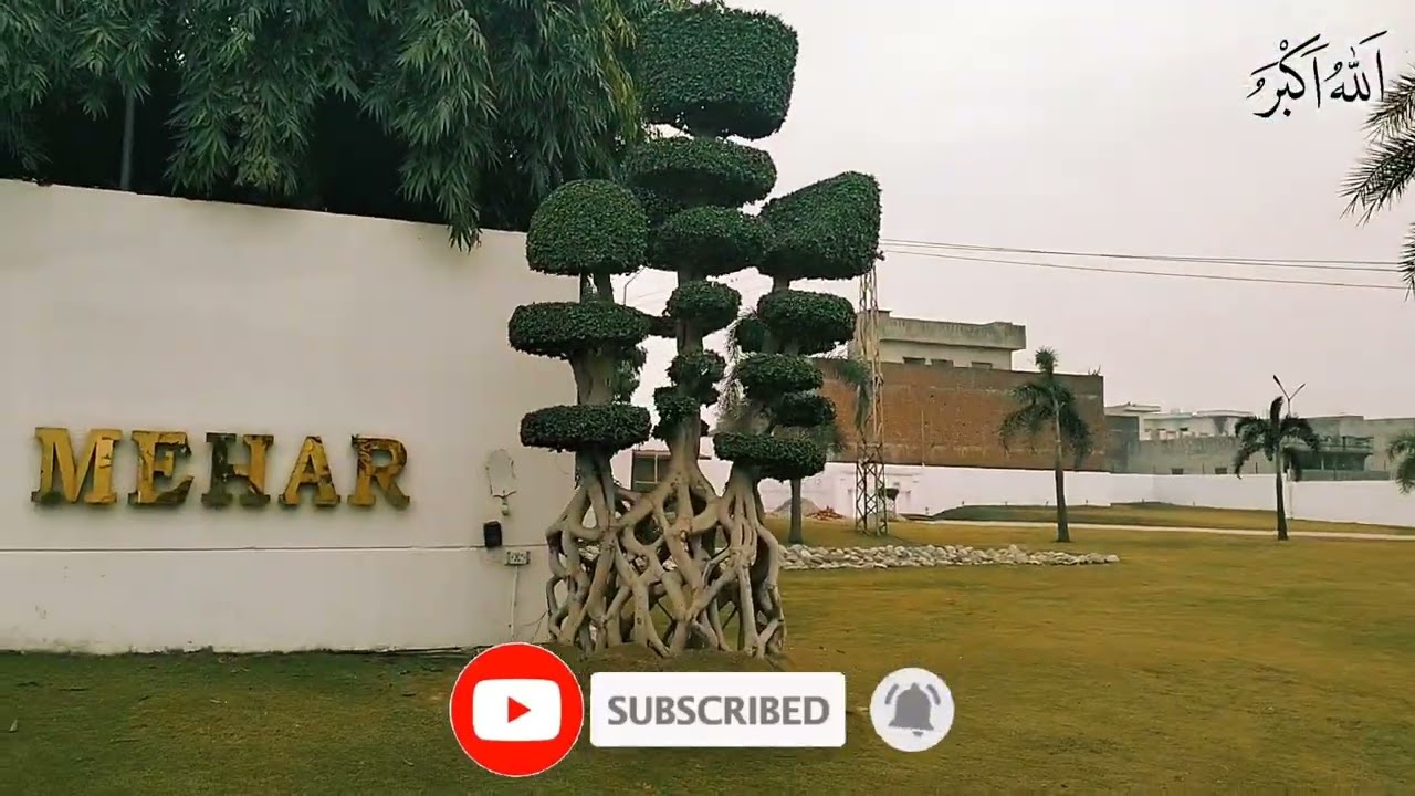 Plantation in Mehar Farm House 💓