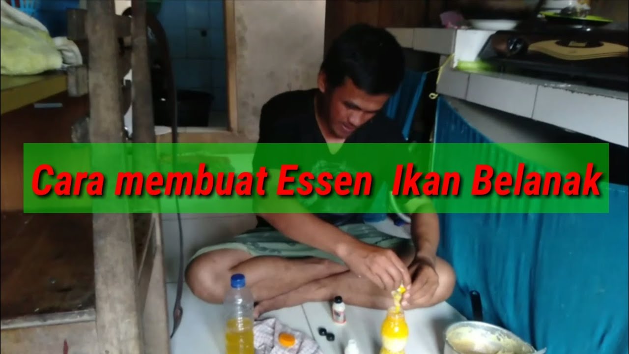 Cara membuat Essen Ikan Belanak||Sahabat MBC CG