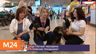 В Домодедове перед полетом 30 апреля можно обнять собак - Москва 24 В Домодедове перед полетом 30 апреля можно обнять собак - Москва 24