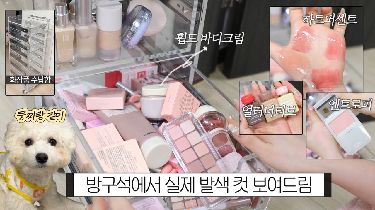 보정된 상세컷 지겨워, 같이 앉아서 화장품 발색해보자📸 (얼터너티브, 클리오, 하트퍼센트, 네이밍, 페리페라, 휩드 등)