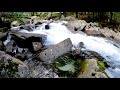 Calming Water, Forest River. Relaxing Nature Sounds. (10 hours). White noise.