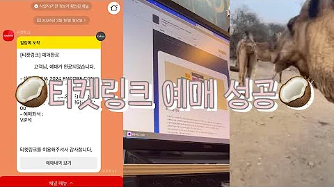 XIA앵콜콘 앙콘 선예매 티켓팅 성공 | 티켓링크 성공 | 소소한 티켓팅 팁 | 코코넛🥥 김준수 시아준수 콘서트 티켓팅