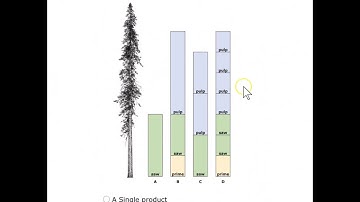 Forest Metrix PRO - The template wizard