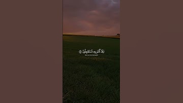 اكتب شيء تؤجر عليه❤️ #آيات #quran #ايات_قرانيه_قصيره #اجر_لي_ولك #قران_كريم #راحة_نفسية#quran_kareem