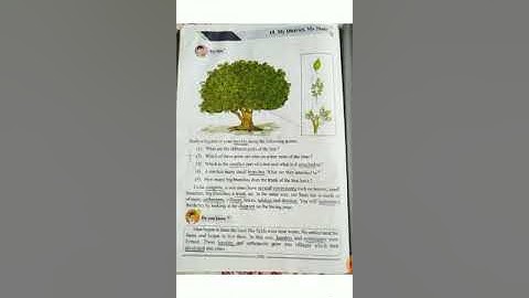 4th standard EVS 1 lesson number 15 My District.,My State( video 1)