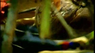 Survivor Intro Request 103